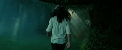I leave you alone for two minutes, and the wolves descend. - Twilight
