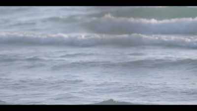 I let her run toward the water
preparing to scream. - I'll Be Gone in the Dark