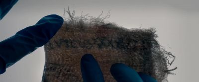  Leviticus. - The Autopsy of Jane Doe