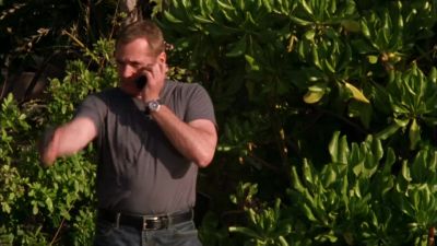 I lied, Jimmy.
Wanna see my gun? - Burn Notice