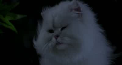 I lied okay Welcome to Manhattan - Stuart Little
