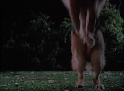 [Light Applause] - Quantum Leap