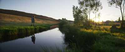 I was like an abandoned mill, - About Dry Grasses