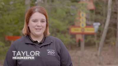I like to call
the koala building - Secrets of the Zoo