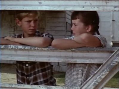 I like that Colt best of all - Misty