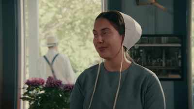 I like doctors, - Plus One at an Amish Wedding