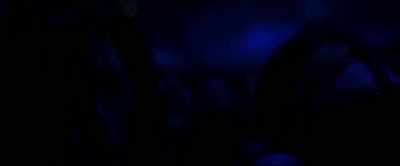 I like to get
the crowd going, you know. - Black Sabbath: The End of The End