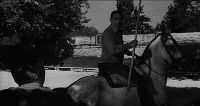 -I like your horse.
-Thank you, Captain Vinolas. - Behold a Pale Horse