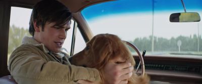 I like this new version of fetch. - A Dog's Purpose
