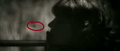 I like noticing detailsthat no-one else ever sees. - Amélie