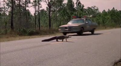 I like this place - Smokey and the Bandit II