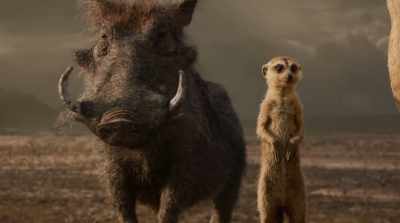 I like what
you've done with it, - The Lion King