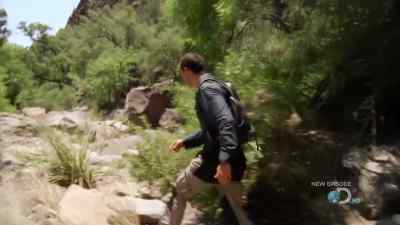 LOGS AND DEBRIS
ARE LEFT PILED HIGH, - Man vs. Wild