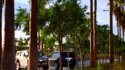Look, according to Tobar, - CSI: Miami