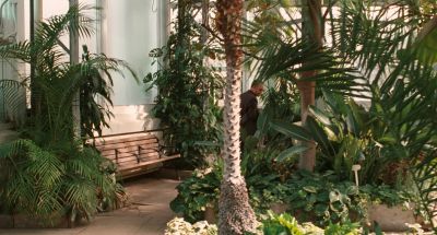 I love Allan Gardens It's always so warm - Chloe