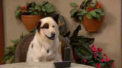 I love Stan so much. - Dog with a Blog
