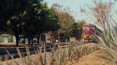 I love tequila so much, - Eva Longoria: Searching for Mexico