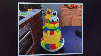 I love the giraffe and the zebra on top, - The Circle