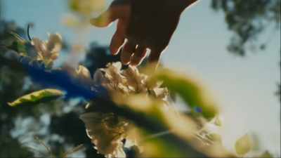 I love to
walk here in the mornings - Love in Bloom