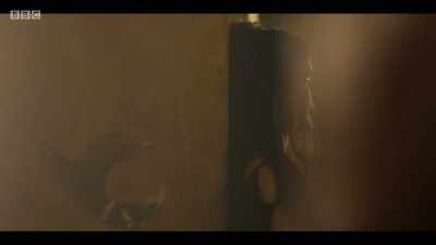 I love you. - Troy: Fall of a City