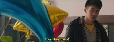 "I love you." - Dead Pigs