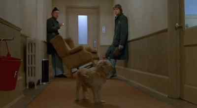 I loved that chair. - Oh Heavenly Dog