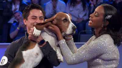 I loved the way Charlie Hound - 2022 American Rescue Dog Show
