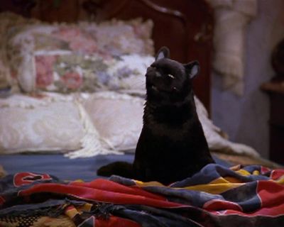 I' m going to be tossed out into the cold - Sabrina, the Teenage Witch