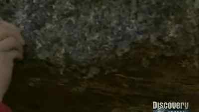 I made a small fire in pyramid
with bamboo and some woods. - Man vs. Wild