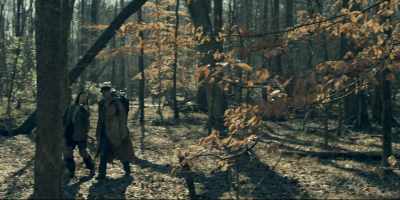 I made markings
on the trees, - Tales of the Walking Dead