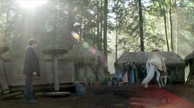 "Many deadly traps were set
to protect the forest hideaway, - Once Upon a Time