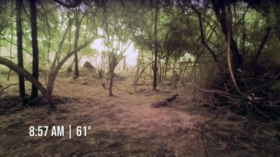        [matt] so last night
         was pretty nice. - Naked and Afraid