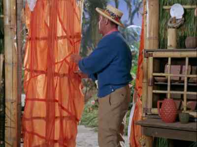 I MAY ENTER THAT WOMAN
IN THE OLYMPICS. - Gilligan's Island