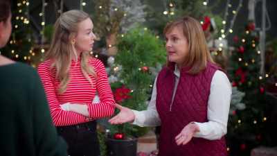 I mean, Eva and Jeff have
already decorated beautifully - Meet Me Under the Mistletoe