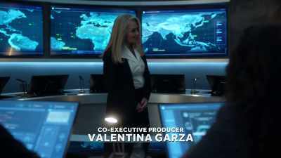 I mean, he is a contractor, so - True Lies