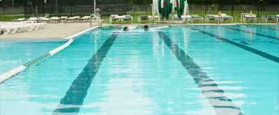 I mean, I might apply and go if they have me, - The Lifeguards