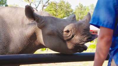 I mean, I might be biased, - Secrets of the Zoo