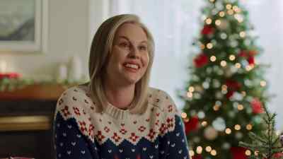 I mean, I went from wunderkind
to irrelevant overnight. - Christmas, Love and Fudge