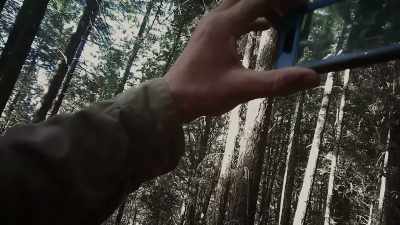 I mean, this is a place
where overt racism - Sasquatch