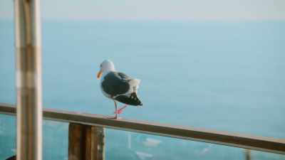 I mean, this is his home,
or her home, like, I get it, - Selling The OC