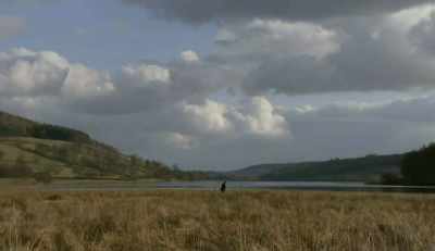 I mean it's a very
beautiful field, really gorgeous - The Trip