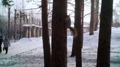 I mean, I've been flying my tail off
over here, and not even a glance! - Absurd Planet