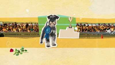 I mean, just because
a mini schnauzer - What Am I Eating? With Zooey Deschanel