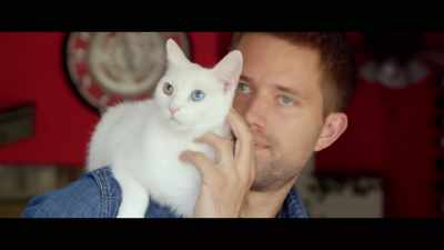 I mean, you put in
a long day at work, - Cat Daddies