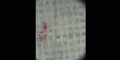 I mean, it really is
junk science and not accepted - Low Country: The Murdaugh Dynasty