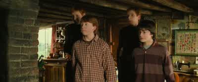 I mean... - Harry Potter and the Chamber of Secrets