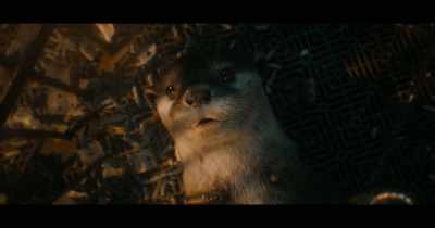 I mean, - Guardians of the Galaxy Vol. 3