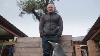 I mean, you should be
in South Georgia, - Britain's Tiger Kings - On the Trail with Ross Kemp