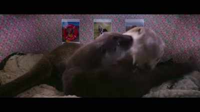 I mean that's really big,
he must be 9 or 10 weeks old. - Billy & Molly: An Otter Love Story