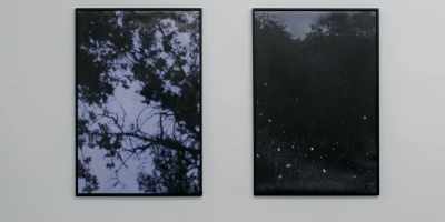 I mean the branches are
a bit like blurry. - Drifter